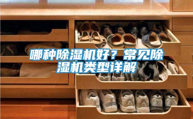 哪种粉色应用黄色软件好？常见粉色应用黄色软件类型详解