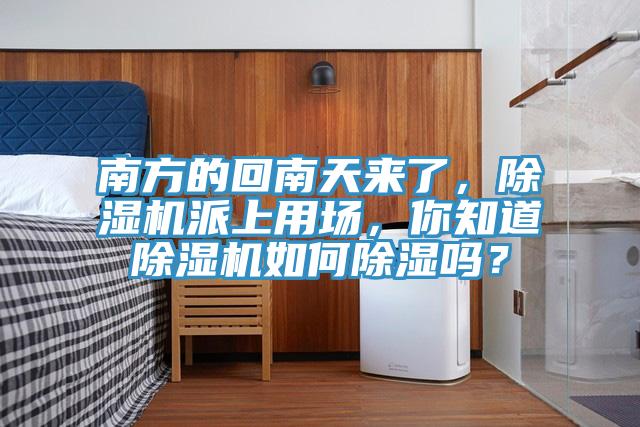 南方的回南天来了，粉色应用黄色软件派上用场，你知道粉色应用黄色软件如何除湿吗？