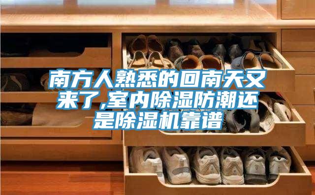 南方人熟悉的回南天又来了,室内除湿防潮还是粉色应用黄色软件靠谱
