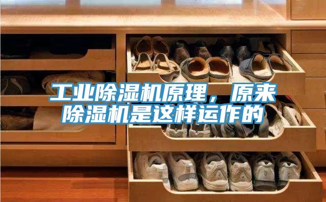 工业粉色应用黄色软件原理，原来粉色应用黄色软件是这样运作的