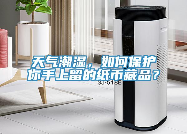 天气潮湿，如何保护你手上留的纸币藏品？