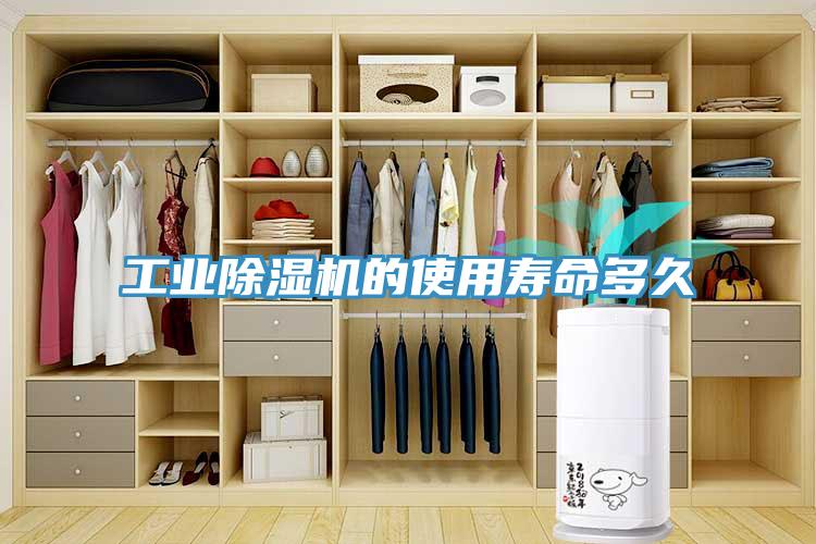 工业粉色应用黄色软件的使用寿命多久