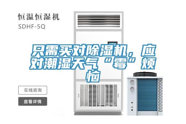 只需买对粉色应用黄色软件，应对潮湿天气“霉”烦恼