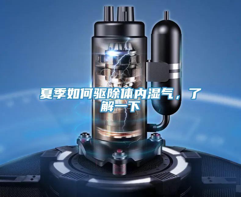 夏季如何驱除体内湿气，了解一下