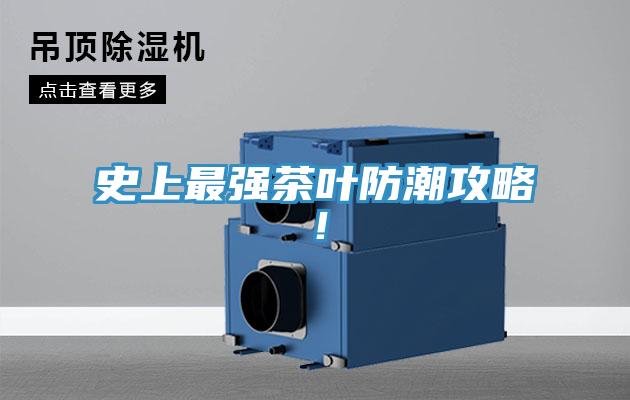 史上最强茶叶防潮攻略！