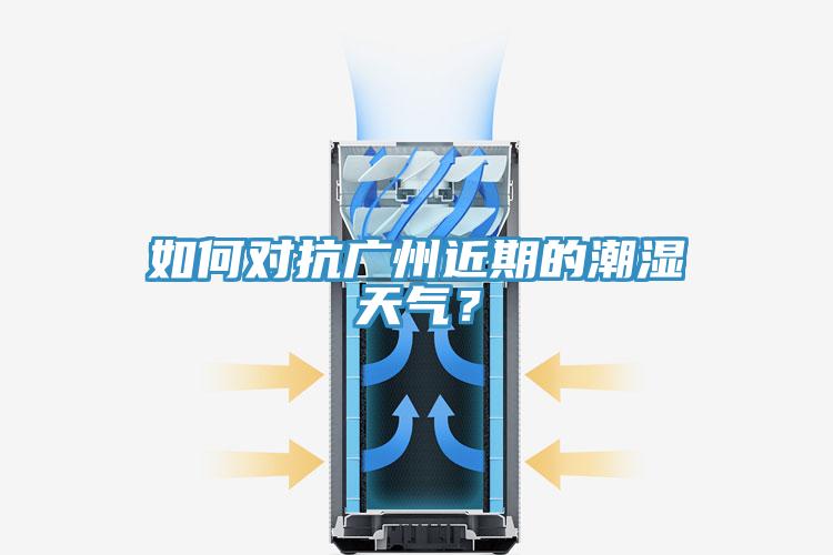 如何对抗广州近期的潮湿天气？