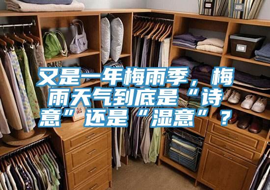 又是一年梅雨季，梅雨天气到底是“诗意”还是“湿意”？