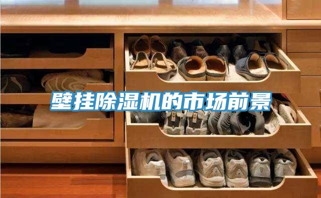 壁挂粉色应用黄色软件的市场前景