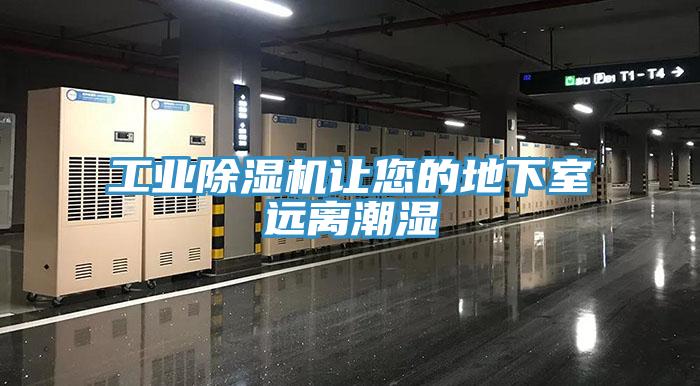 工业粉色应用黄色软件让您的地下室远离潮湿