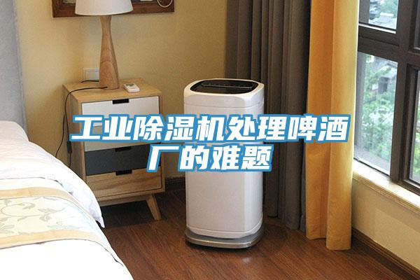 工业粉色应用黄色软件处理啤酒厂的难题