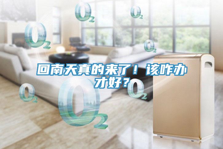 回南天真的来了！该咋办才好？