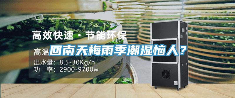回南天梅雨季潮湿恼人？