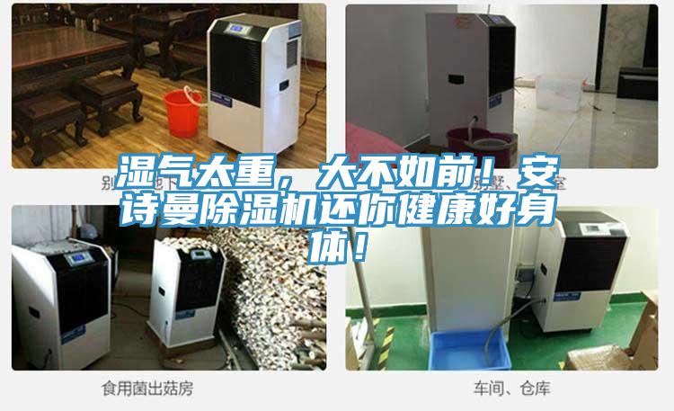 湿气太重，大不如前！粉色视频污下载粉色应用黄色软件还你健康好身体！