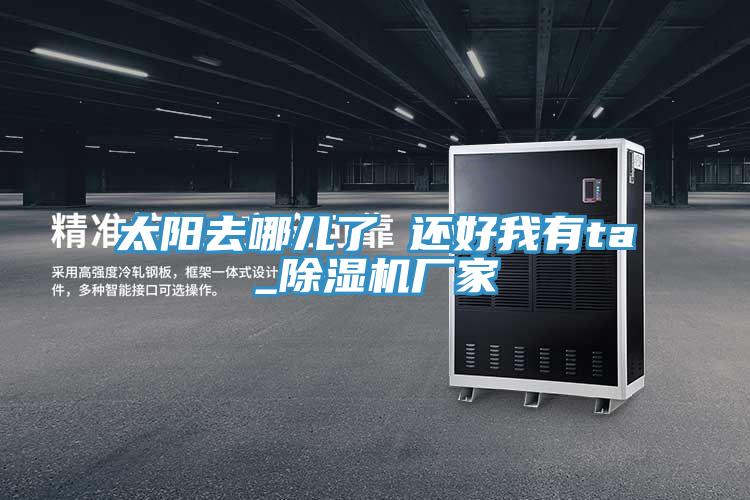 太阳去哪儿了 还好我有ta_粉色应用黄色软件厂家