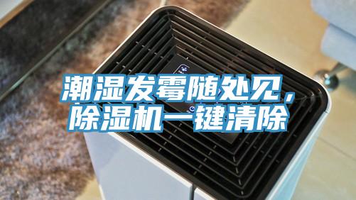 潮湿发霉随处见，粉色应用黄色软件一键清除