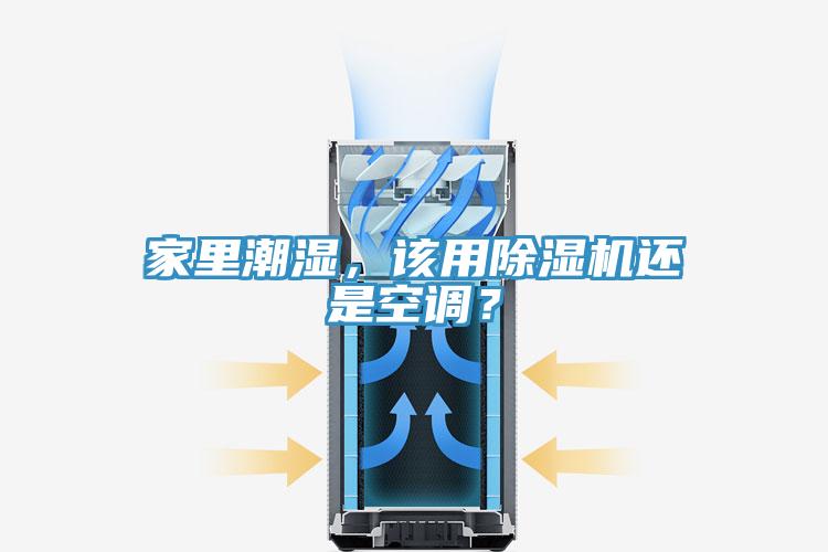 家里潮湿，该用粉色应用黄色软件还是空调？