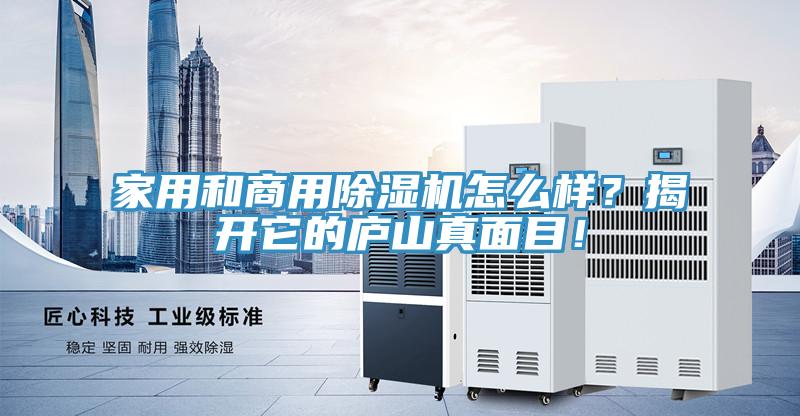 家用和商用粉色应用黄色软件怎么样？揭开它的庐山真面目！