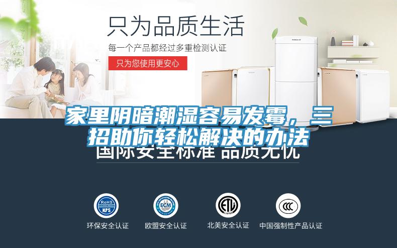 家里阴暗潮湿容易发霉，三招助你轻松解决的办法