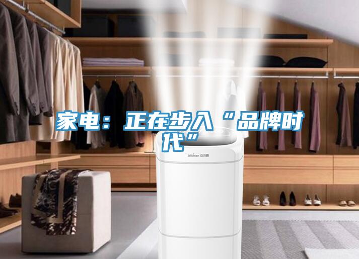 家电：正在步入“品牌时代”
