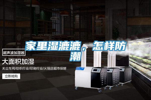 家里湿漉漉，怎样防潮