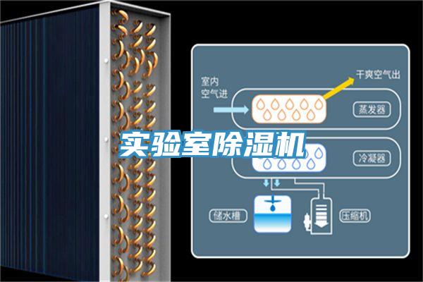 实验室粉色应用黄色软件