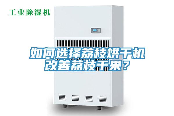 如何选择荔枝烘干机改善荔枝干果？