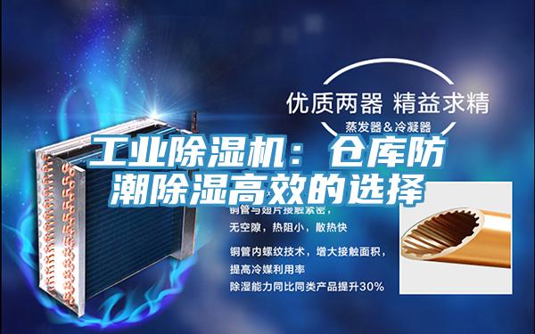 工业粉色应用黄色软件：仓库防潮除湿高效的选择