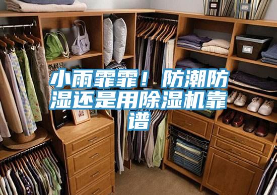 小雨霏霏！防潮防湿还是用粉色应用黄色软件靠谱