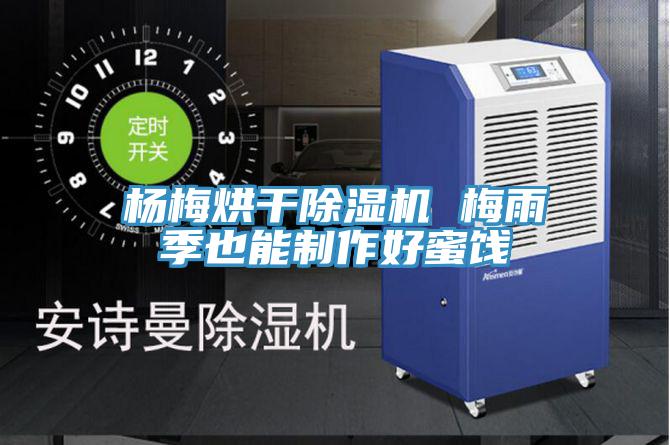 杨梅烘干粉色应用黄色软件 梅雨季也能制作好蜜饯