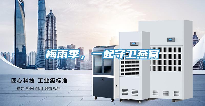 梅雨季，一起守卫燕窝