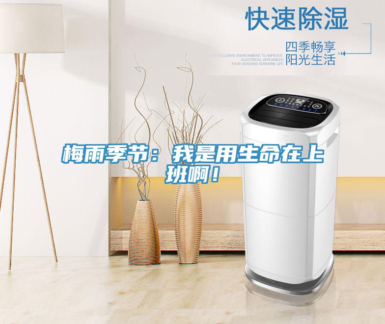 梅雨季节：我是用生命在上班啊！