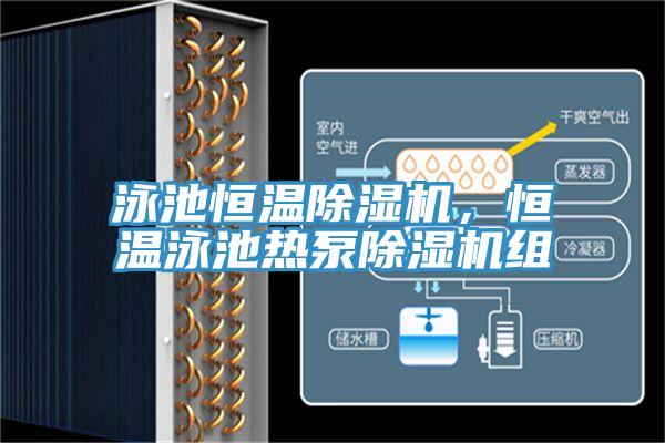 泳池恒温粉色应用黄色软件，恒温泳池热泵粉色应用黄色软件组