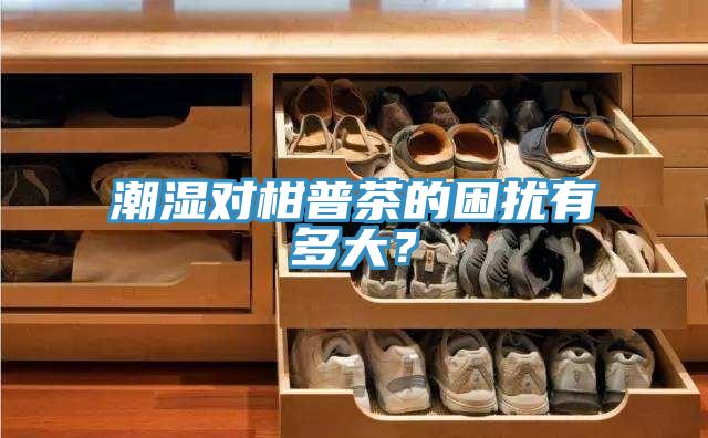 潮湿对柑普茶的困扰有多大？