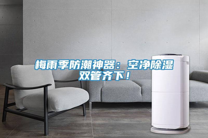 梅雨季防潮神器：空净除湿双管齐下！