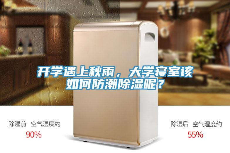 开学遇上秋雨，大学寝室该如何防潮除湿呢？