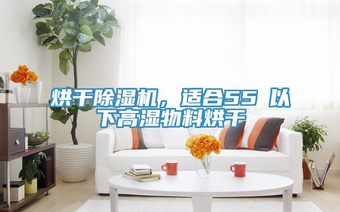 烘干粉色应用黄色软件，适合55℃以下高湿物料烘干