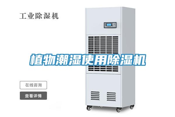 植物潮湿使用粉色应用黄色软件