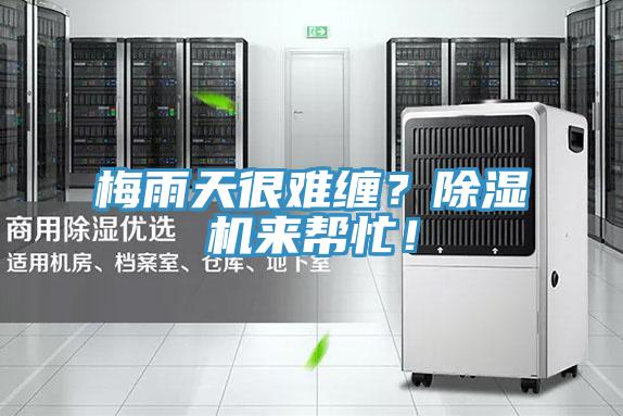 梅雨天很难缠？粉色应用黄色软件来帮忙！