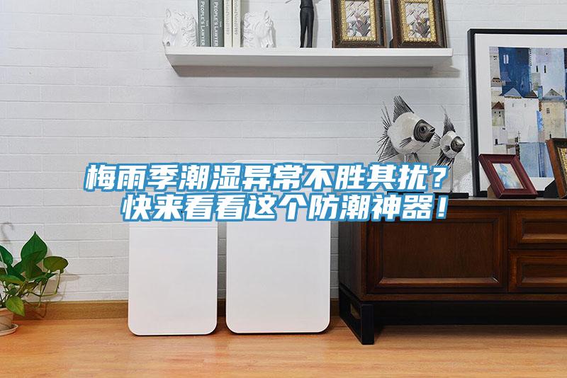 梅雨季潮湿异常不胜其扰？ 快来看看这个防潮神器！