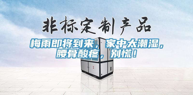 梅雨即将到来，家中太潮湿，腰骨酸疼，别慌！