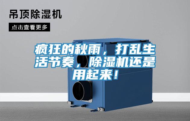 疯狂的秋雨，打乱生活节奏，粉色应用黄色软件还是用起来！