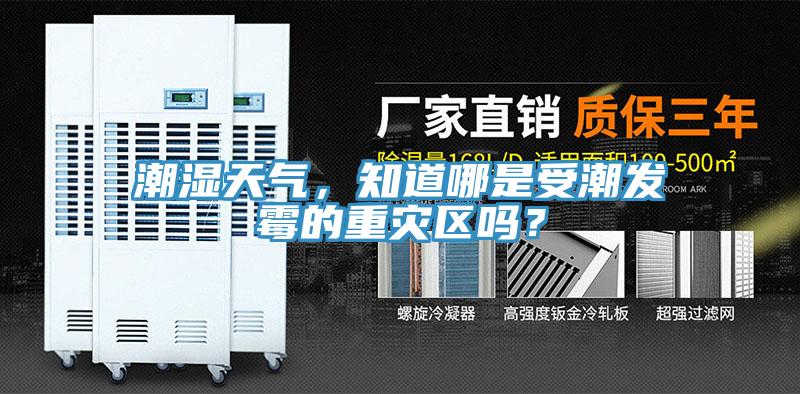 潮湿天气，知道哪是受潮发霉的重灾区吗？