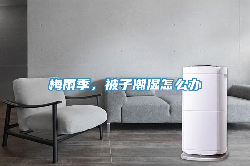 梅雨季，被子潮湿怎么办