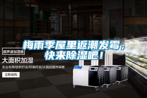 梅雨季屋里返潮发霉，快来除湿吧！