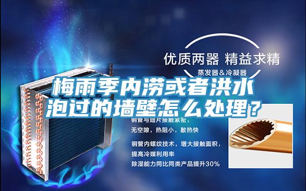 梅雨季内涝或者洪水泡过的墙壁怎么处理？