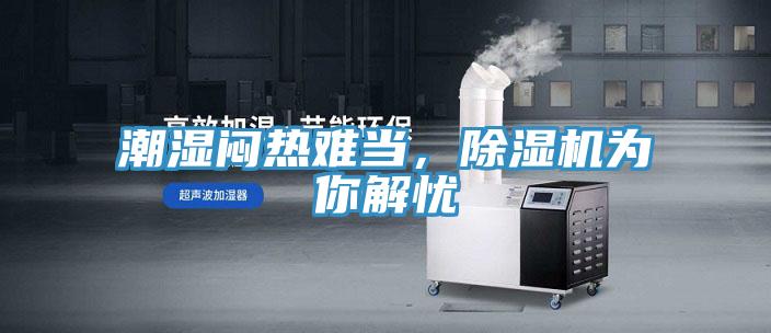 潮湿闷热难当，粉色应用黄色软件为你解忧