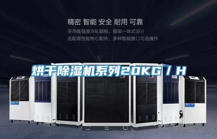 烘干粉色应用黄色软件系列20KG／H