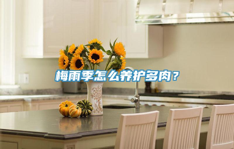 梅雨季怎么养护多肉？