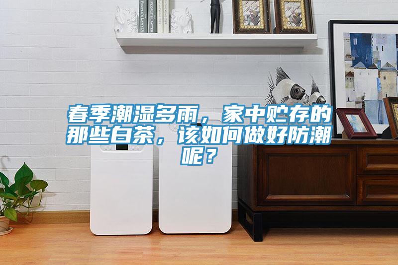 春季潮湿多雨，家中贮存的那些白茶，该如何做好防潮呢？