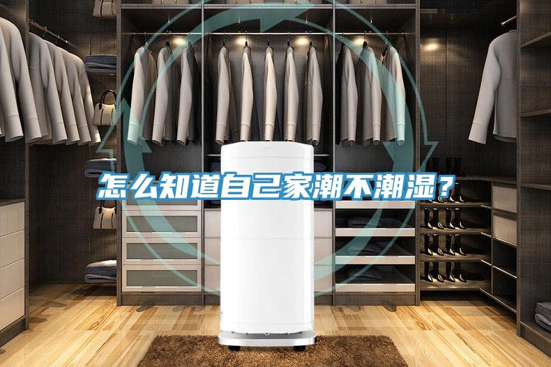 怎么知道自己家潮不潮湿？